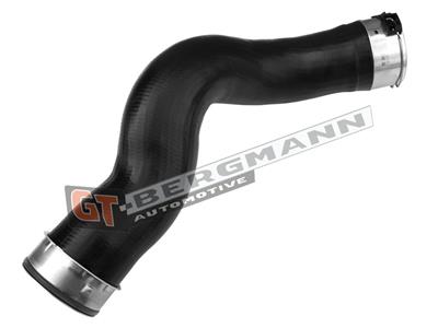 GT BERGMANN GT52-333 EAN: 5907764519258.