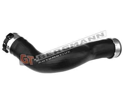GT BERGMANN GT52-333 EAN: 5907764519258.
