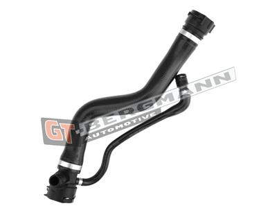 GT BERGMANN GT52-338 EAN: 5907764519302.