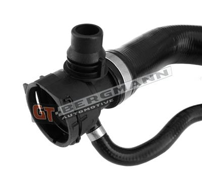 GT BERGMANN GT52-338 EAN: 5907764519302.