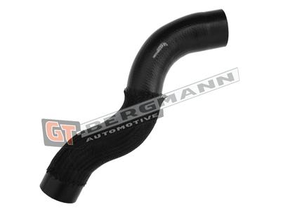 GT BERGMANN GT52-339 EAN: 5907764519326.