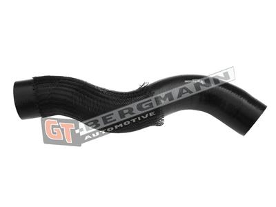 GT BERGMANN GT52-319 EAN: 5907764518725.