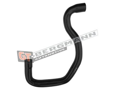 GT BERGMANN GT52-351 EAN: 5907764519517.