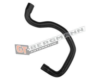 GT BERGMANN GT52-351 EAN: 5907764519517.