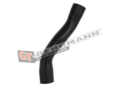 GT BERGMANN GT52-314 EAN: 5907764518671.