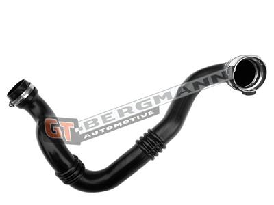 GT BERGMANN GT52-397 EAN: 5907764519982.