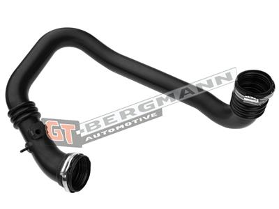 GT BERGMANN GT52-398 EAN: 5907764519999.