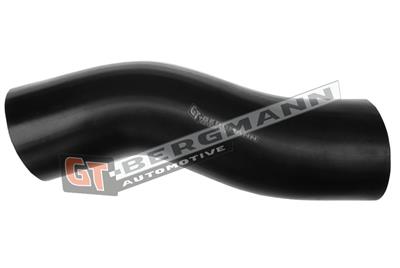 GT BERGMANN GT52-424 EAN: 5907764510378.