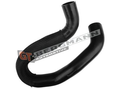 GT BERGMANN GT52-431 EAN: 5907764523736.