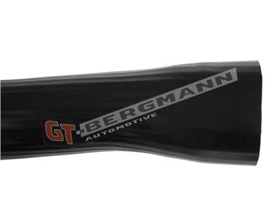 GT BERGMANN GT52-443 EAN: 5907764523859.