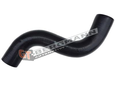GT BERGMANN GT52-454 EAN: 5907764523965.