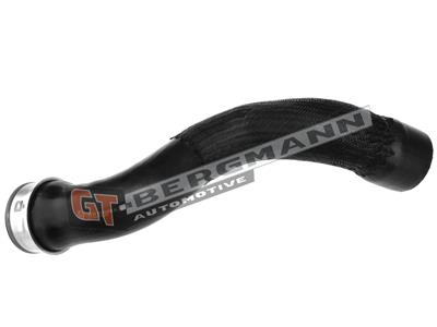GT52-494