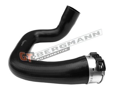 GT52-494