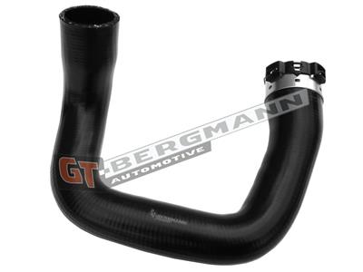 GT52-494