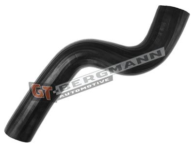 GT BERGMANN GT52-528 EAN: 5907764524931.