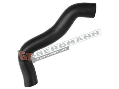 GT BERGMANN GT52-541 EAN: 5907764525068.