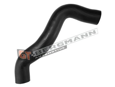 GT BERGMANN GT52-541 EAN: 5907764525068.