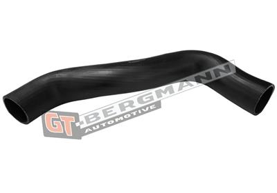 GT BERGMANN GT52-541 EAN: 5907764525068.