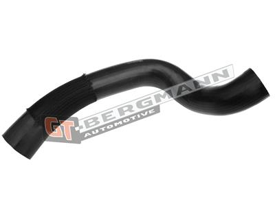 GT BERGMANN GT52-549 EAN: 5907764525143.