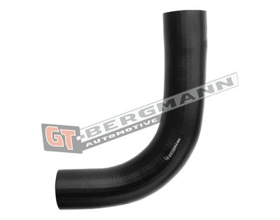 GT BERGMANN GT52-619 EAN: 5907764526621.