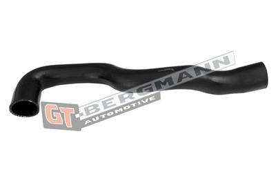GT BERGMANN GT52-653