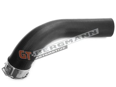 GT BERGMANN GT52-713 EAN: 5907764529035.