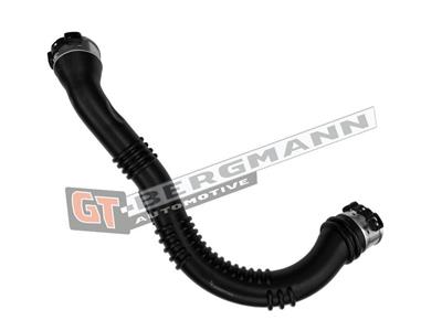 GT BERGMANN GT52-773