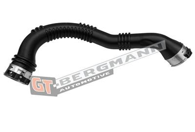 GT BERGMANN GT52-773