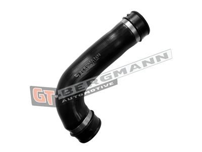 GT BERGMANN GT52-779 EAN: 5907764531113.