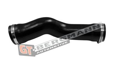 GT BERGMANN GT52-100 EAN: 5907764510408.