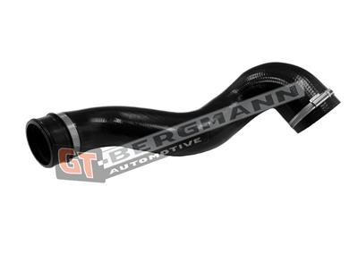 GT BERGMANN GT52-200 EAN: 5907764515656.