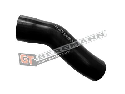 GT BERGMANN GT52-795