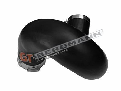 GT BERGMANN GT52-818