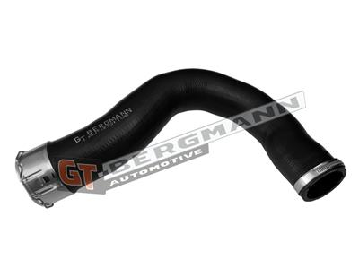 GT BERGMANN GT52-849