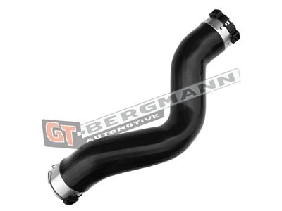 GT BERGMANN GT52-852