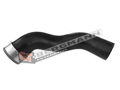 GT BERGMANN GT52-856