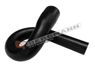 GT BERGMANN GT52-877