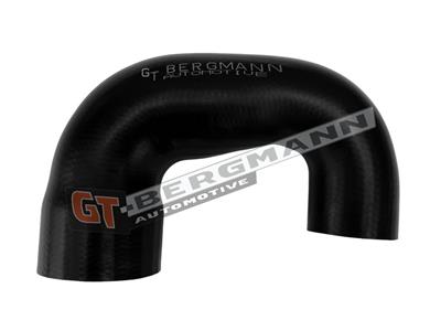 GT BERGMANN GT52-879