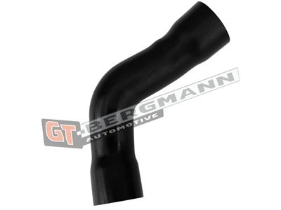 GT BERGMANN GT52-883