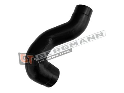 GT BERGMANN GT52-890