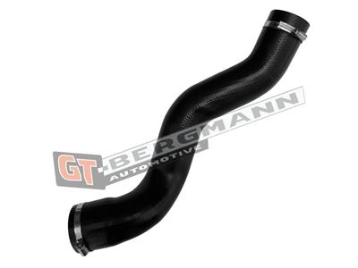 GT BERGMANN GT52-895