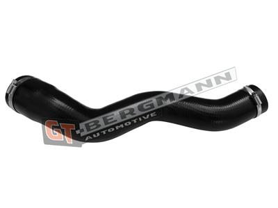 GT BERGMANN GT52-895