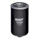 HENGST FILTER H296WK
