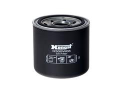 HENGST FILTER H300W06