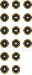 VICTOR REINZ 12-19255-01