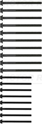 VICTOR REINZ 14-32204-01 EAN: 4026634381236.