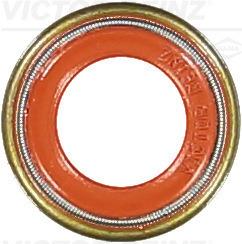 VICTOR REINZ 70-36004-10