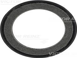 VICTOR REINZ 81-34316-00