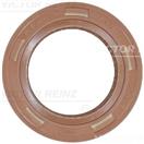 VICTOR REINZ 81-35719-00