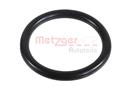 METZGER 2430002